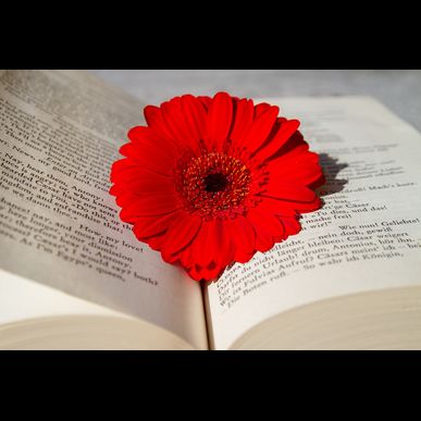 つくばで痛くない歯医者をお探しなら｜遊歯科